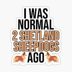 I Was a Shetland Sheepdog Owner