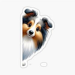 Peeking Shetland Sheepdog - White Decal