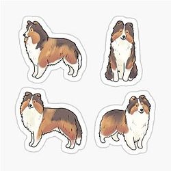 Shetland Sheepdog Pack Sticker