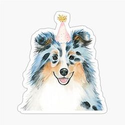 Watercolor Blue Merle Shetland Sheepdog Birthday Sticker