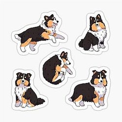 Cute Shetland Sheepdog Sticker