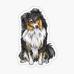 Sheltie - Shetland Sheepdog - Tricolour - Cute Dog Art