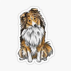 Sheltie - Shetland Sheepdog - Mahogany Sable Cute Dog Art Sticker