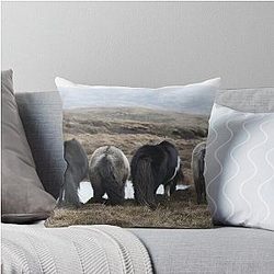 Shetland Ponies Pillow