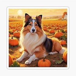 Shetland Sheepdog in a pumpkin patch at sunset sticker