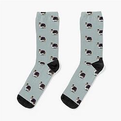 Tri Shetland Sheepdog Sheltie Socks -> Tri Shetland Sheepdog Socks