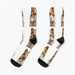 Cute Shetland Sheepdog with Signboard I love my Socks