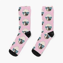 Traveler dog on the sea Shetland sheepdog owner Socks