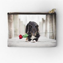 Shetland Sheepdog with Poach