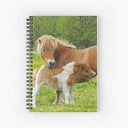 Shetland Pony Spiral Notebook