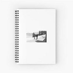 Jimmy Perez Shetland Notebook