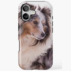 Shetland Sheepdog Portrait iPhone Case