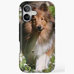 Shetland Sheepdog in spring meadow phone case