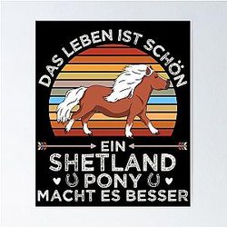 Shetland pony gift