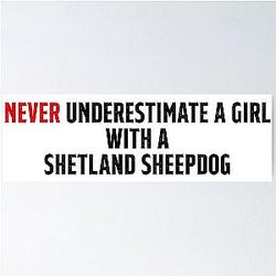 Funny Shetland Sheepdog girl Poster