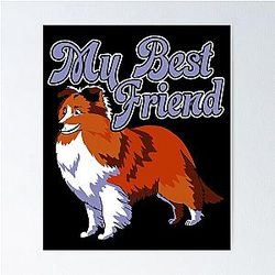 Shetland Sheepdog My Best Friend Poster