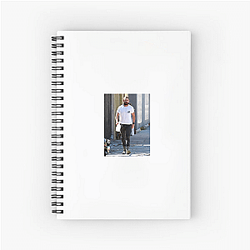 Ethan Hawke was nominated for four Academy Awards Shia Labeouf Notebook
