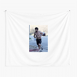 Ethan Hawke has also written several novels Shia Labeouf Tapestries