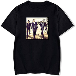 Shinedown Beyond The Madness Shinedown T-Shirts