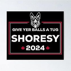 Letterkenny Shoresy for president 2024 - puppers Poster