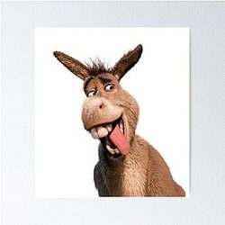 Donkey Shrek Poster