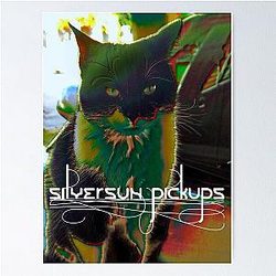 Silversun Pickups Cat Poster