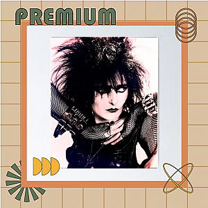 Siouxsie And The Banshees Posters