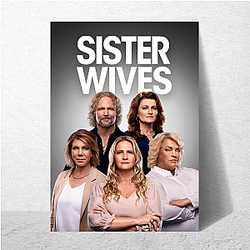 Sister Wives is a reality TV series Sister Wives Posters