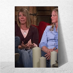 Sister Wives explores the family's challenges Sister Wives Posters