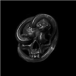 Bones Snake Winding Skull Ring