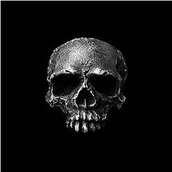 Stainless Steel Rugged Skull Rings