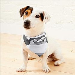 Sleepknot Pet Bandanas Premium Merch Store