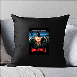 Smallville The Best Superhero Origin Series Smallville Pillows Cover