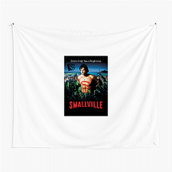 Smallville The Best Superhero Origin Series Smallville Tapestries
