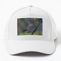 Ruby Crowned Kinglet of Baseball Cap