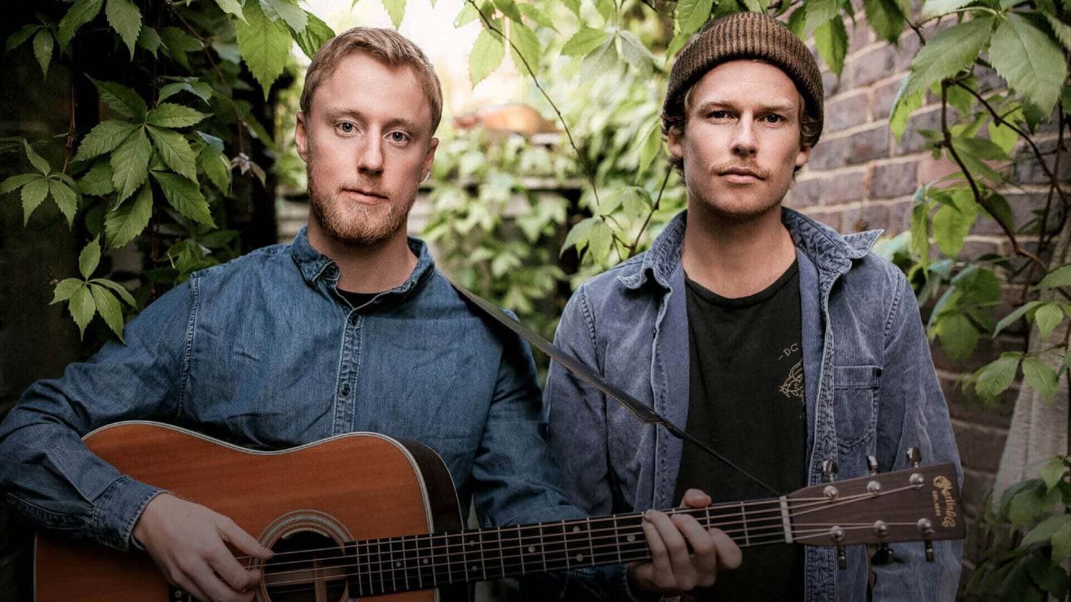 The Growing Popularity of Hollow Coves in the Indie-Folk Genre