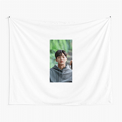 Song Kang has won awards for his acting Song Kang Tapestries
