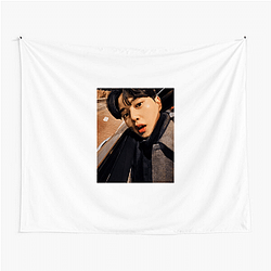 Song Kang starred in the series Love Alarm Song Kang Tapestries