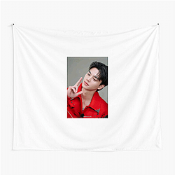 Song Kang is often called the Son of Netflix Song Kang Tapestries
