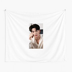 Song Kang is a rising star in Korean entertainment Song Kang Tapestries