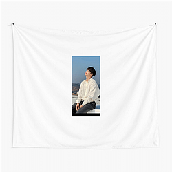 Song Kang is known for his visual appeal Song Kang Tapestries