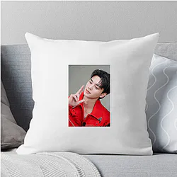 Song Kang is often called the Son of Netflix Song Kang Pillows Cover