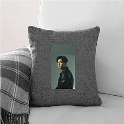 Song Kang is known for his K-drama roles Song Kang Pillows Cover