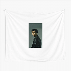 Song Kang is known for his K-drama roles Song Kang Tapestries
