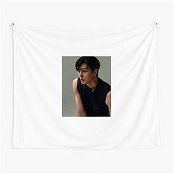 Song Kang has a large international fanbase Song Kang Tapestries