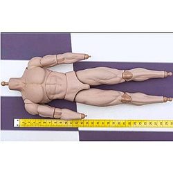 [PRE-ORDER] Soosootoys SST047 1/6 Soldier Body for 12'' Figure Fisk