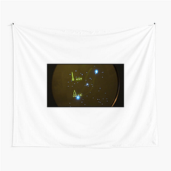 Spacewar! De oorsprong van het spel Spacewar! Tapisserieën