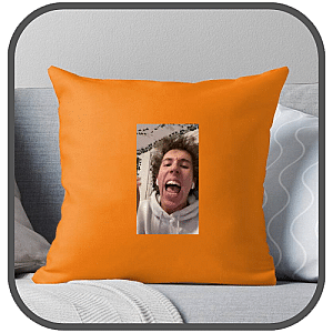 Spencer Daily Pillows Cover