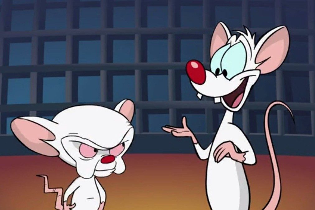 Pinky And The Brain Merch Store: Must‑Have Collectibles