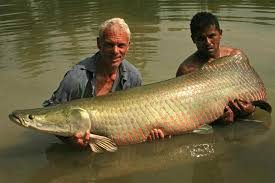 Jeremy Wade Store: The YouTuber Who Made Fishing Viral